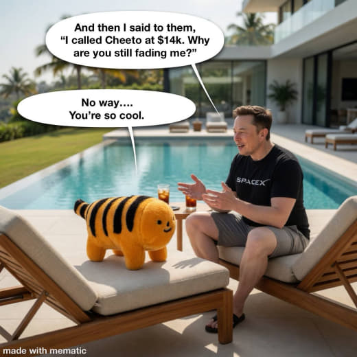 Meme Transmission #040 from the MF Cheeto Tiger meme gallery